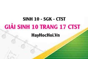Giải Sinh 10 trang 17 Chân trời sáng tạo SGK